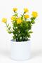 Set of 3 Artificial Flowers in Mini White Pots - 3