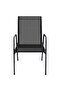 Garden Chairs 2 pcs Steel and Textilene Black - 2