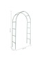 Garden Arch 2 pcs Climbing Plants - 3