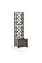 Garden Planter with Trellis 43x43x142 cm PP Anthracite - 3