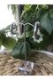 Steel Earrings - 2