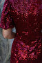 Burgundy Balloon Sleeve Sequin Dress - 5