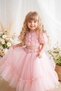 Girl's Princess Dress with Roses and Layers of Tulle, Special Occasion Dress, Ages 2-6, Pink/Powder/Cream - 4