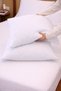 Protective Micro Fitted Cotton Quilted Water Liquid Proof Pillow Mattress Cover 2-Piece 50X70 - 3