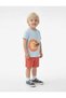 Lion Print Short Sleeve Crew Neck T-Shirt and Shorts Set - 2 Piece Set