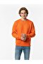 Unisex Long Sleeve Crew Neck Regular Soft Inside Sweatshirt - 4