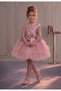 Powder Birthday, Tulle Evening Dress Party Dress - 2