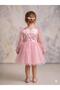Pink Star Printed Ruffled Front Long Tulle Sleeve Girls' Baby Girl Dress - 5