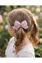 Multi-Colored 6-Piece Ribbon Bow Clip Buckle Set - 2