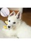 Metal Dog Comb Colorful Pet Dog Tangle Detangler Flea Dematting Comb Dog Hair Combing - 3