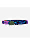 Reebok X Trekk Cat Collar |   Zee.Cat