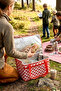 Large Size Rectangular Thermal Insulated Picnic Basket 15 Liters-Camping Beach Cooler Bag - 2