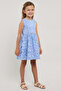 Schiffli Sleeveless Fit & Flare Dress - 2