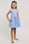 Schiffli Sleeveless Fit & Flare Dress - 6