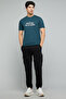 Typography Print T-Shirt with Crew Neck and Short Sleeves - 3