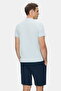 Gayley Sky Blue Crew Neck Printed 100% Cotton Standard Fit Men's Tshirt - 4