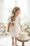 Girl Child 4-5 Years Old Back Detailed 3D Rose Appliqued Tulle Tutu Bow Princess Birthday Party Dress - 4
