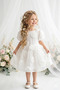 Girl Child 4-5 Years Old Back Detailed 3D Rose Appliqued Tulle Tutu Bow Princess Birthday Party Dress - 2
