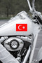 Turkish Flag Car Sticker - Moon Star Auto Sticker - Turkey Flag Sticker 15X10Cm - 4