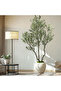 244cm artificial Olive Trees, Faux Olive Tree with White Planter for Indoor Home Office Decor - 5