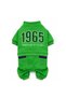 Bnt-R2503 Dog Outfit Romper Green - 4