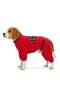 Bnt-R2502 Dog Outfit Romper Red