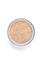 Perfect Finish Loose Powder 14 - 4