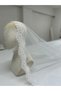 French Lace Bridal Veil