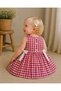 Baby Girl Strawberry Embroidered Gingham Cotton Summer Stylish & Casual Dress - 8