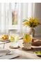 Mimosa 6-Pack Soft Drink Glass 400Cc.