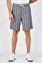 Men Stripe Basic Shorts, Grey