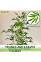 170cm Artificial Bamboo Tree with Tall White Planter for Office Hotel Garden Home Decor - 6