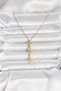 316L Steel Gold Color Sea Themed Y Model Zircon Stone Women's Necklace - 2