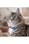 Mypet Cat Flea Collar 7 Months Effective Flea and Tick Prevention Waterproof - 2