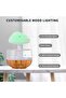 Rain Cloud humidifier - 2