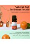 Pure Essential Oil Set, Therapeutic Grade Water Soluble Aromatherapy Oils - 4