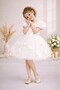Tulle Rose Detailed Girls' Evening Dress-Birthday-Event-Party-Special Occasion Dress - 3