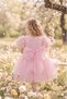 Baby Girl Dress Girls' Rose Tulle Princess Dress Bow Birthday Party Dress 1-5 Years - 7