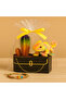 Chameleon gift set - 2