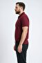 100% Cotton Plus Size Short Sleeve Polo T-Shirt H1650Ax26Sp - 3