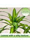 180cm Artificial Dracaena Tree, Fake Yucca Tree with White Planter for Home Office Room Decor Indoor - 8
