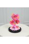 Fellora Premium Colorful Infinity Roses - 5