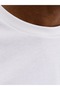 Jack&Jones Jprblucaleb Ss Tee Men's T-Shirt 12293019 - 3