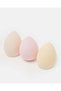 Women Assorted 3 Piece Sponge Set - 2