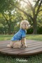 Cat-Dog 100% Cotton Muslin Summer Dress - Shirt - Gilet - T-Shirt - Clothing - 6