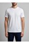 Men's Basic Slim Fit Crew Neck T-Shirt - White - 4