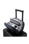 |   Wet-Dry Compartment Travel Organizer Bag, 8" Tablet Compatible, 2.5 L