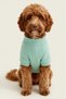 Bnt-S2507 Cat Dog Outfit Sweatshirt Turquoise - 2
