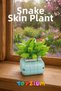 Florist Snake Skin Building Block Flower Set (104 Pieces) - Haworthia Manda's Hybrid Plant Series
