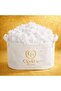 Beads Silicone Fiber 100% Pure 1St Quality (1.5 kg /1500 Gr).